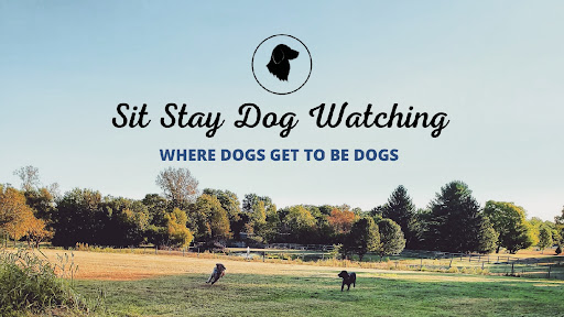 Sit Stay Dog Watching LLC
