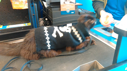 Pet Supply Store «Petco Animal Supplies», reviews and photos, 1660 Orchard Gateway Blvd, North Aurora, IL 60542, USA