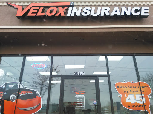 Insurance Agency «Velox Insurance», reviews and photos