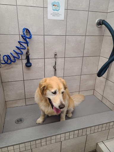 Pet Supply Store «Pet Supplies Plus», reviews and photos, 1206 W Dundee Rd, Buffalo Grove, IL 60089, USA