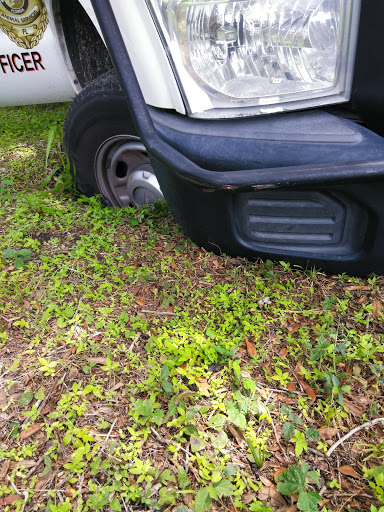 Auto Parts Store «Advance Auto Parts», reviews and photos, 13795 W Colonial Dr, Winter Garden, FL 34787, USA