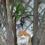 Photo n°5 de l'avis de roberto. fait le 28/12/2022 à 00:23 sur le  Hotel Terme Zi Carmela à Forio