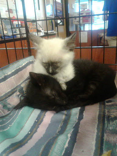 Pet Supply Store «PetSmart», reviews and photos, 5226 S College Rd, Wilmington, NC 28412, USA