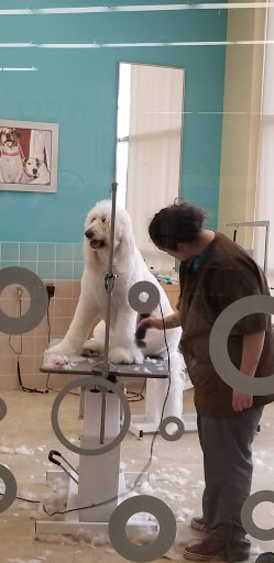 Pet Supply Store «Petco Animal Supplies», reviews and photos, 1310 Tingle Cir E b, Mobile, AL 36606, USA