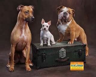 Auto Insurance Agency «Craig Winton - State Farm Insurance Agent», reviews and photos