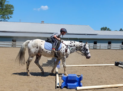 RAD Horsemanship and Training