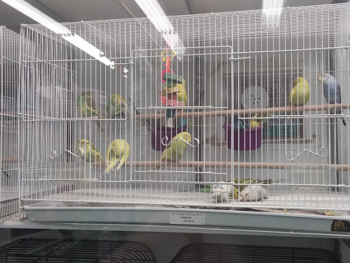 Pet Supply Store «Petland Discounts - Flatbush Ave.», reviews and photos, 968 Flatbush Ave, Brooklyn, NY 11226, USA