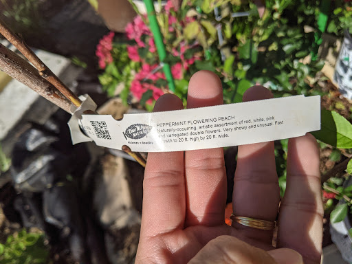 Supermarket «ALDI», reviews and photos, 1549 E Belt Line Rd, Richardson, TX 75081, USA