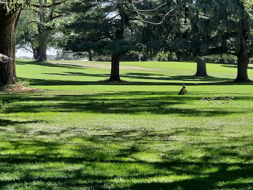 Public Golf Course «St Joe Valley Golf Club», reviews and photos, 24953 M-86, Sturgis, MI 49091, USA