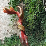 Photo n°3 de l'avis de Kerstin.i fait le 21/09/2018 à 16:09 sur le  Schlosskeller Herrenberg à Herrenberg