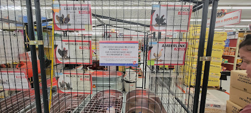 Home Improvement Store «Tractor Supply Co.», reviews and photos, 2423 N Lebanon St, Lebanon, IN 46052, USA