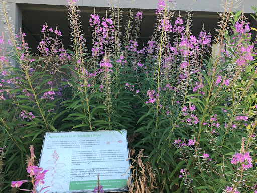 Park «Seahurst Park», reviews and photos, 1600 SW Seahurst Park Rd, Burien, WA 98166, USA