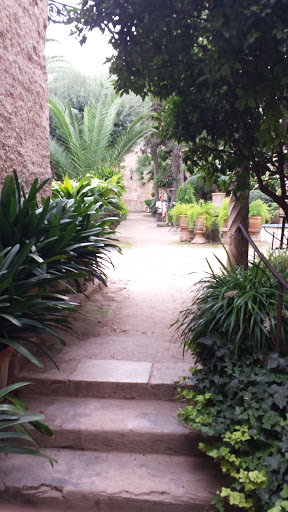 Jardines botanicos en Palma de Mallorca