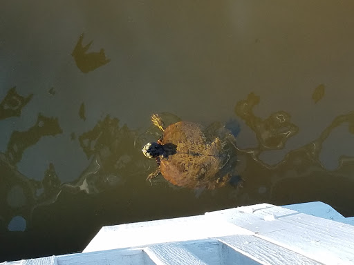 Park «Hunter Memorial Park», reviews and photos, 8830 Gurley Rd, Douglasville, GA 30134, USA