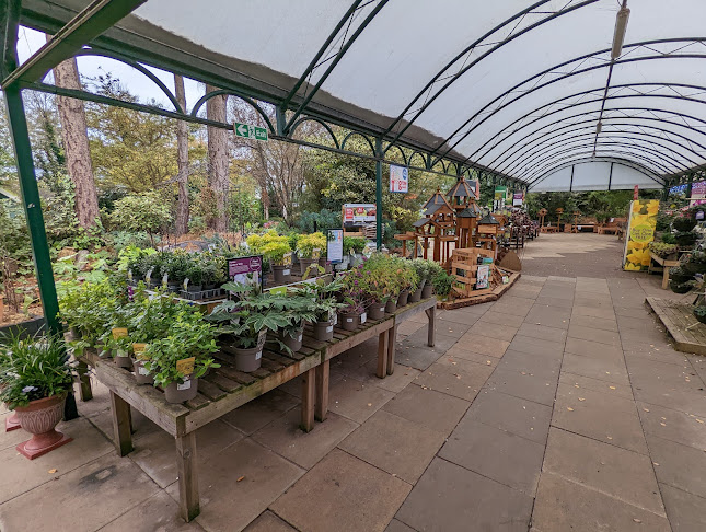 Reviews of Lady Green Garden Centre in Liverpool - Landscaper