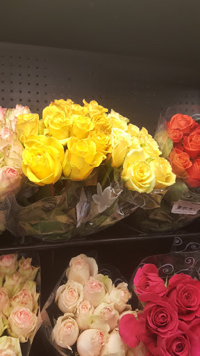 Shopping Mall «Gateway Centre Plaza», reviews and photos, Howard St, Chicago, IL 60626, USA