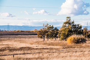 Liberty Farms Recreation Area - photo 4