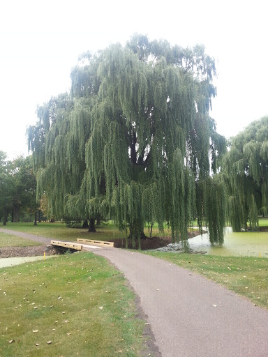 Golf Club «New Prague Golf Club», reviews and photos, 400 Lexington Ave S, New Prague, MN 56071, USA