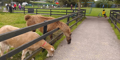 Kia Ora Mini Farm