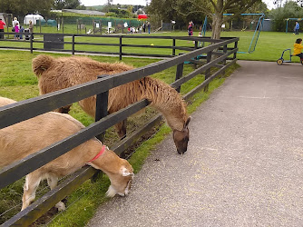 Kia Ora Mini Farm