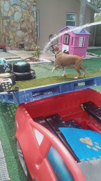 Skippers Sanctuary - Photo 7 - Car repair in Hudson, FL, Spring Hill