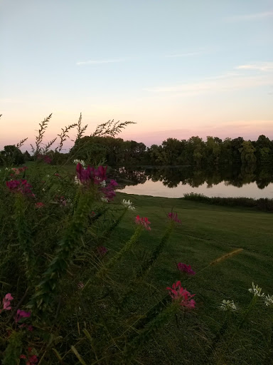 Public Golf Course «Shamrock Golf Course», reviews and photos, 19625 Larkin Rd, Corcoran, MN 55340, USA