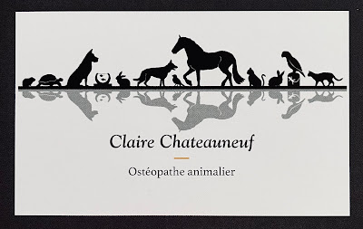 Chateauneuf Claire - Ostéopathe animalier ( Chiens, Chats, Chevaux, NAC, ... ) à Sainte-Hélène