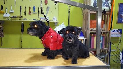 Peluquería Canina y Felina Guapetones. Moda y Complementos - Servicios para mascota en Burgos