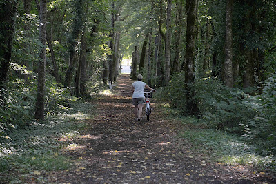L'allée noire à Scey-sur-Saône-et-Saint-Albin