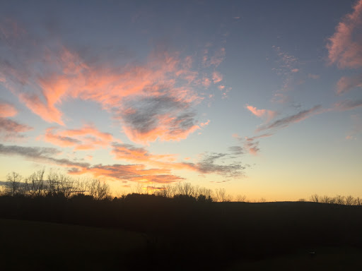 Winery «The Wine Reserve at Waterford», reviews and photos, 38516 Charles Town Pike, Waterford, VA 20197, USA