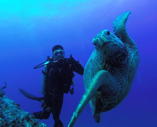 SCUBA Dive Oahu, Hawaii | Honolulu Honu Divers
