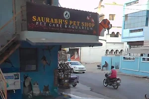 Saurabh Pet Shop & Aquarium image