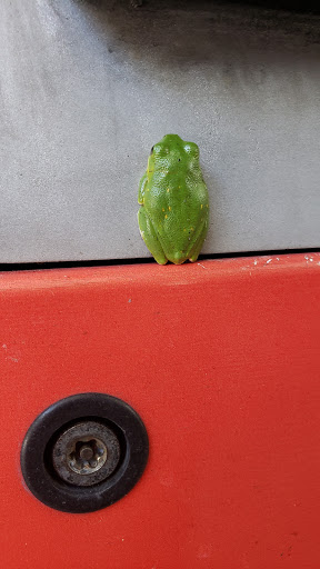 Shopping Mall «Braelinn Village Shopping Center», reviews and photos, 548 Crosstown Drive, Peachtree City, GA 30269, USA