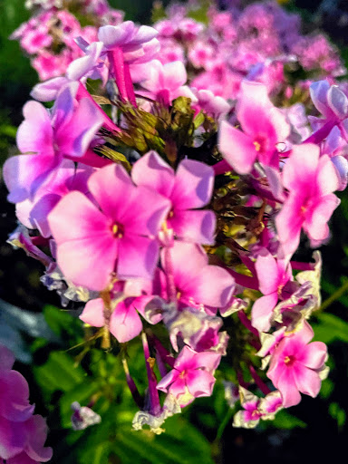 Home Improvement Store «The Home Depot», reviews and photos, 899 County St, Taunton, MA 02780, USA