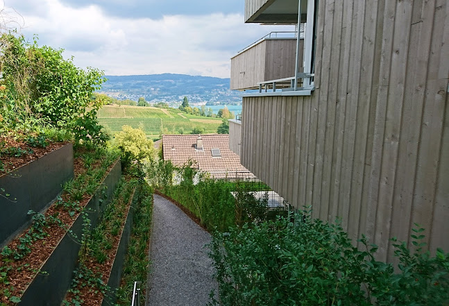 Rezensionen über Cadrage Landschaftsarchitekten GmbH in Zürich - Gartenbauer