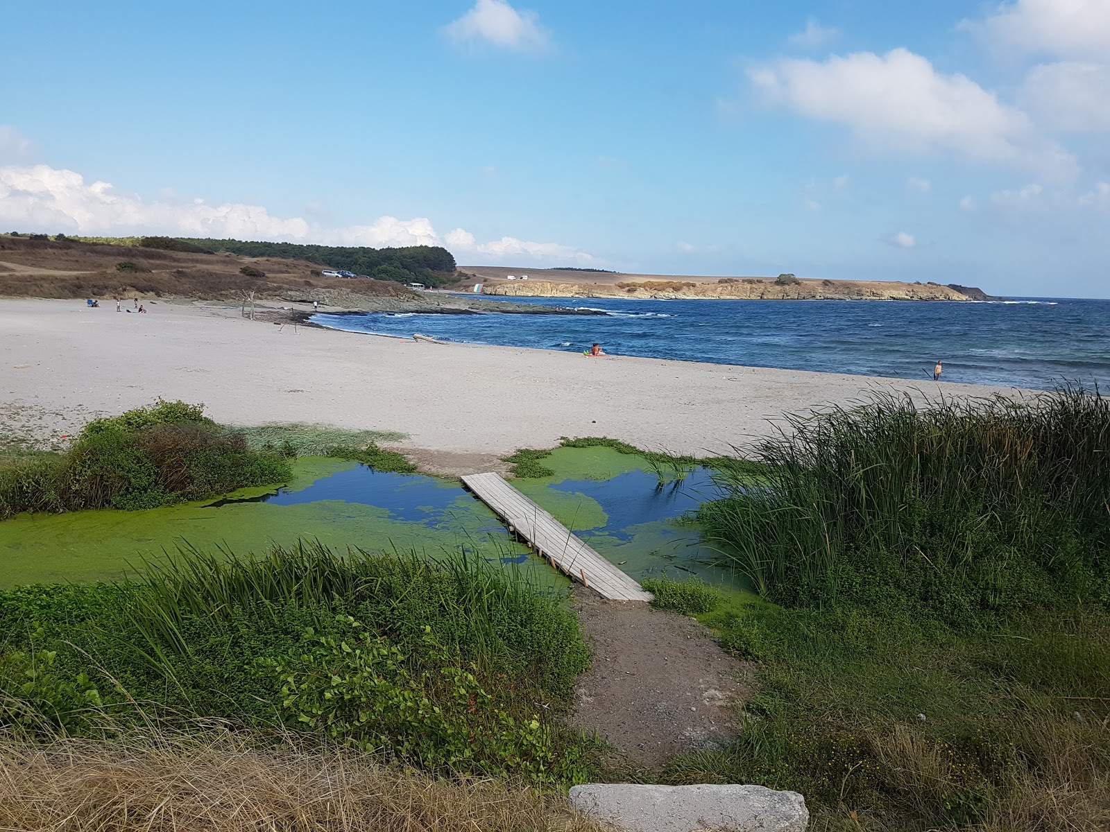 Foto di Tsarevo beach North con una superficie del sabbia beige