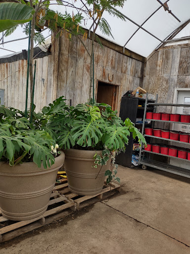 Plant Nursery «Blooming Acres», reviews and photos, 7561 State Rd, Wadsworth, OH 44281, USA