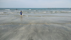 Photo de Tanjung Balau Beach avec rivage droit, long