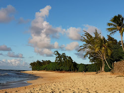 Foto von Velzyland Beach wilde gegend