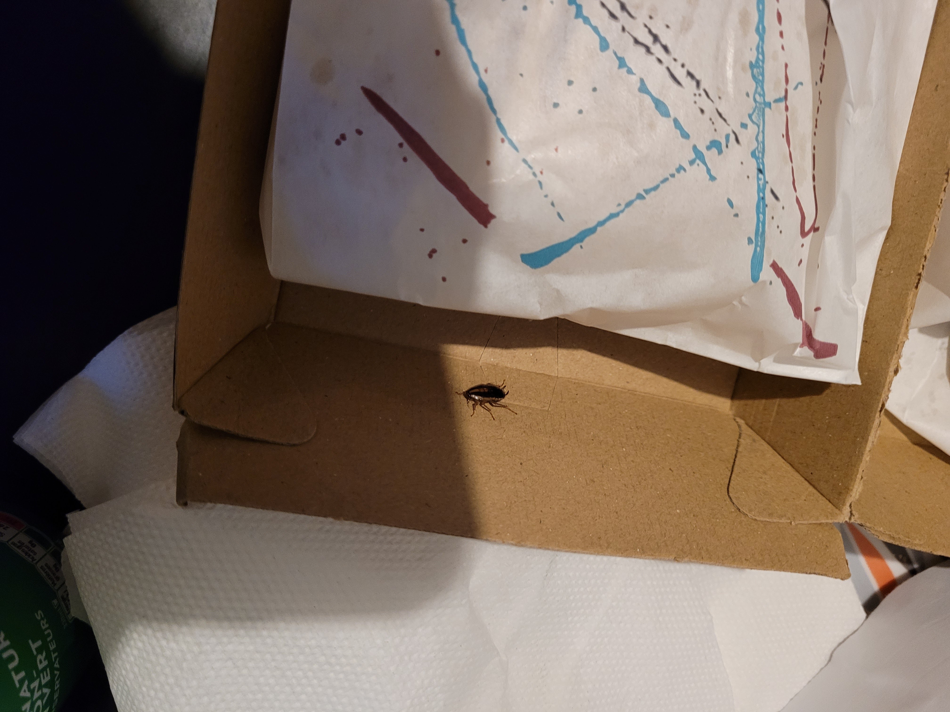 Photo n° 2 de l'avis de Samy.s fait le 23/12/2021 à 11:26