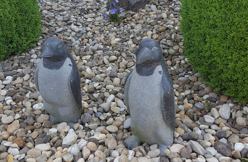 Kleintierpraxis Dr. Karin Schröder unter Wilhelmshaven, Niedersachsen