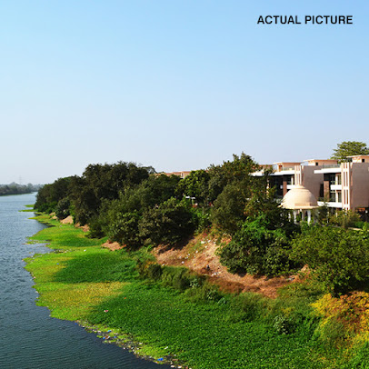 Google Maps image 19