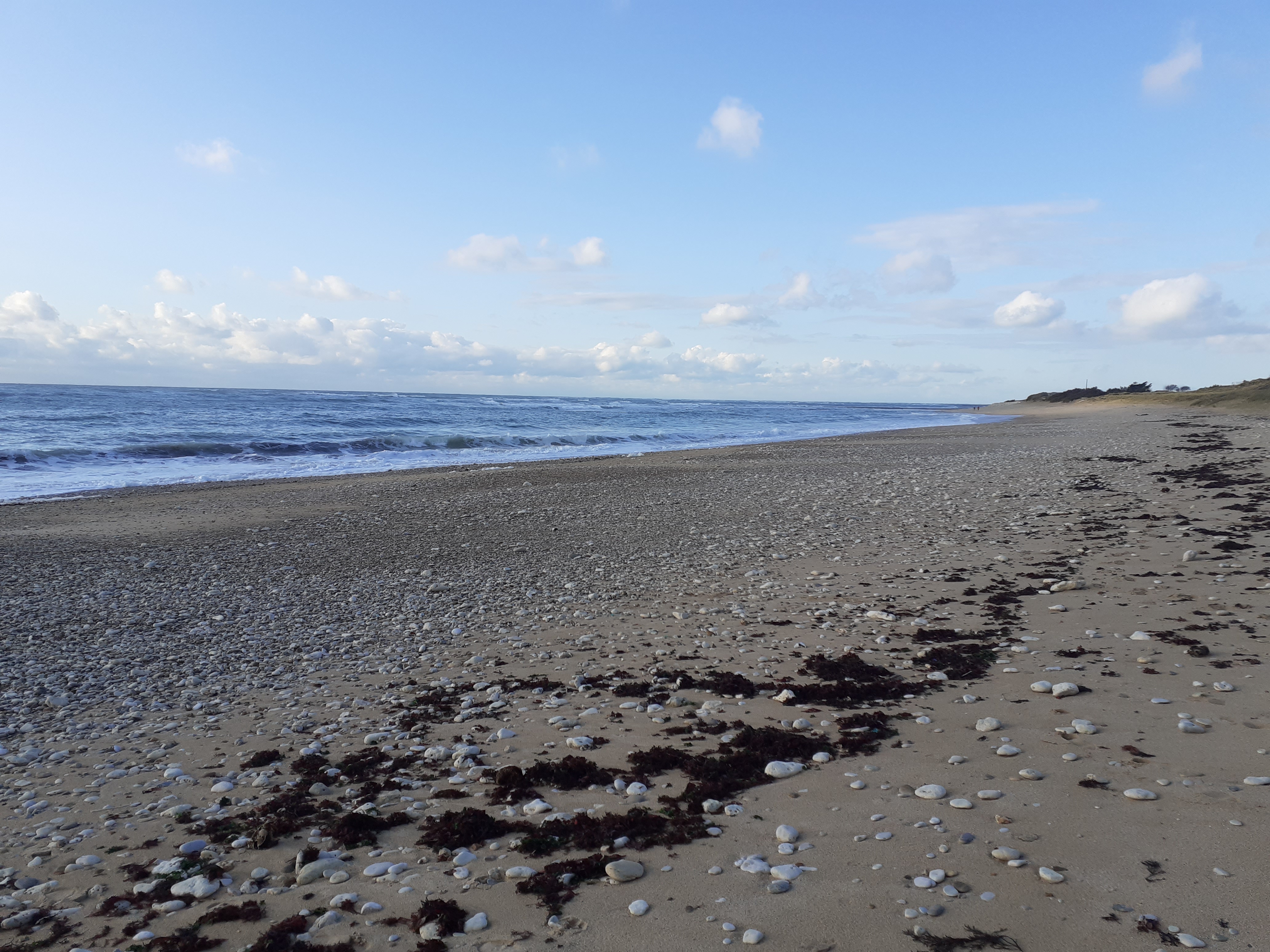 Photo n° 3 de l'avis de Felix.s fait le 21/11/2019 à 20:21