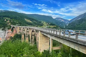 Đurđevića Tara Bridge image