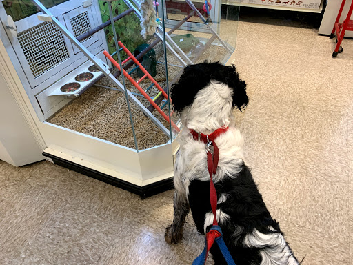 Pet Supply Store «PetSmart», reviews and photos, 1630 13th Ave E, West Fargo, ND 58078, USA
