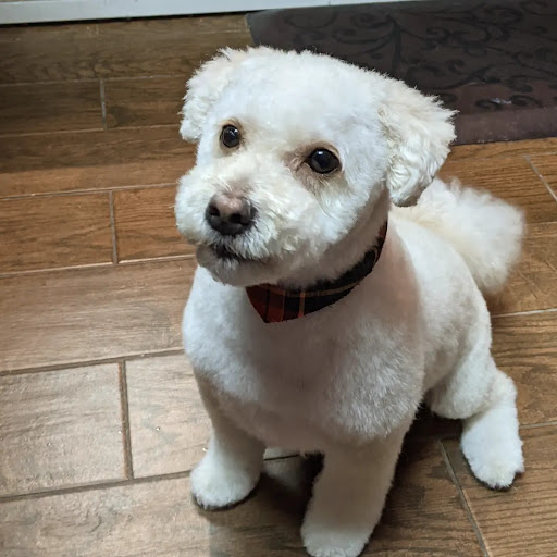 Pet Groomer «Woof Gang Bakery & Grooming Bridgewater», reviews and photos, 732 US-202 #130, Bridgewater, NJ 08807, USA