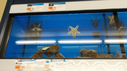 Pet Supply Store «Petco Animal Supplies», reviews and photos, 75 Highland Ave #6, Seekonk, MA 02771, USA