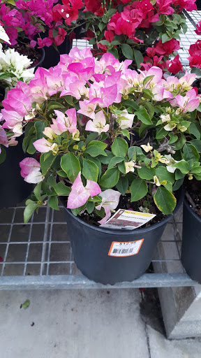 Home Improvement Store «The Home Depot», reviews and photos, 3373 Ronald McNair Way, Titusville, FL 32780, USA