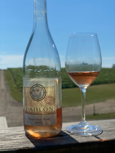 Winery «Dablon Vineyards & Winery», reviews and photos, 111 W Shawnee Rd, Baroda, MI 49101, USA