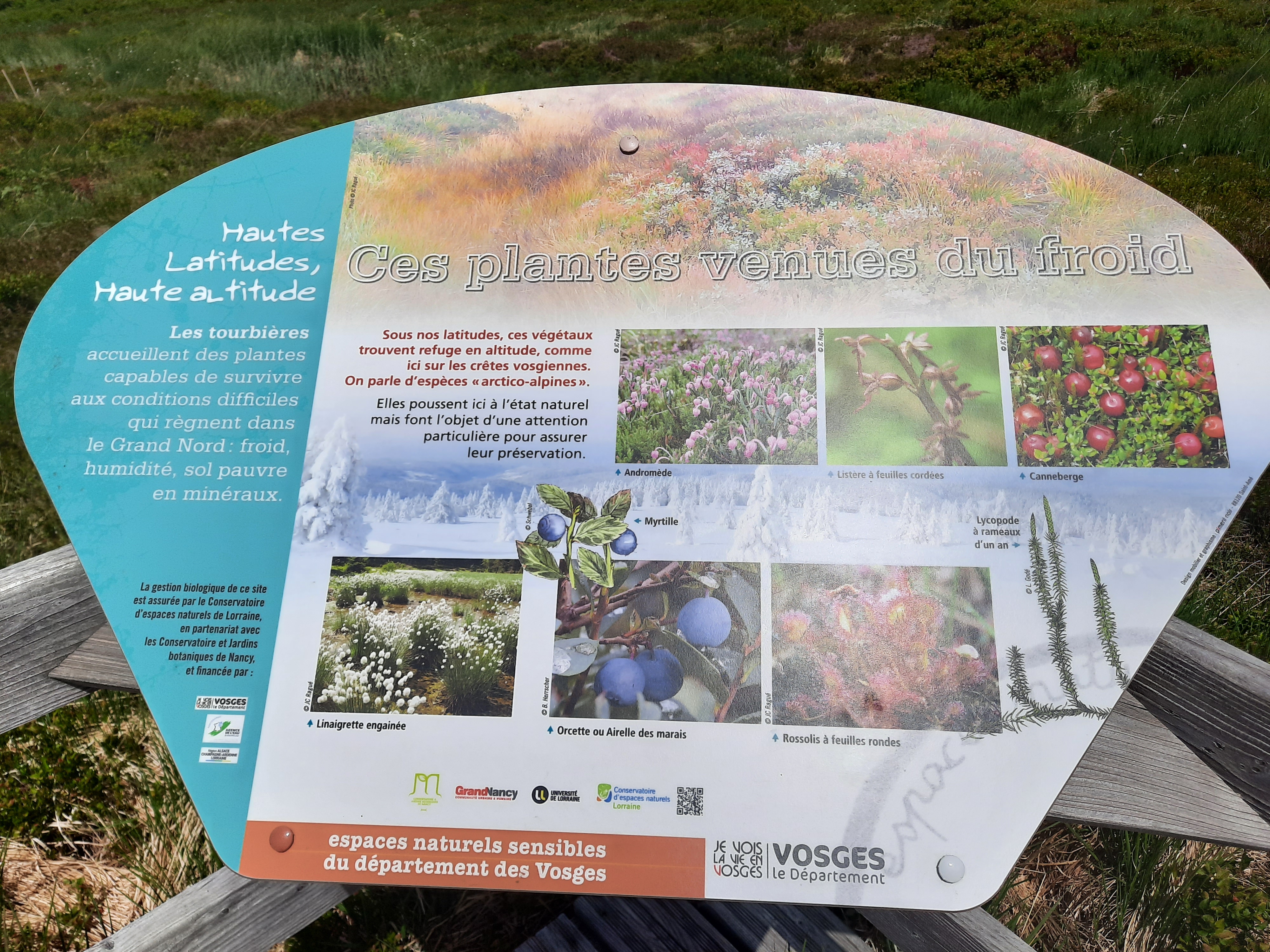 Photo n° 26 de l'avis de Victoria.e fait le 22/06/2020 à 21:37